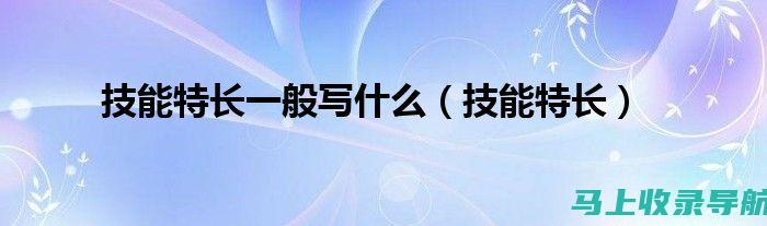 站长必备技能：深度解析统计查询的奥秘